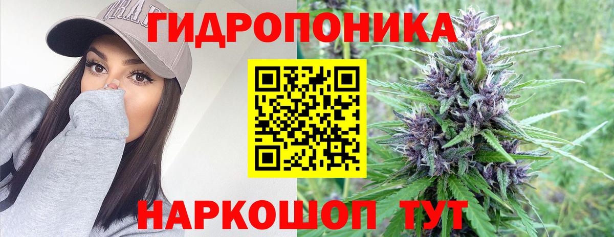 Канабис AK-47 Звенигород